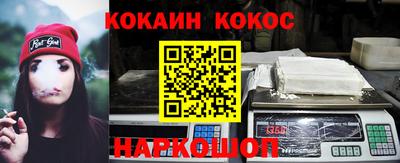 крисы Кингисепп
