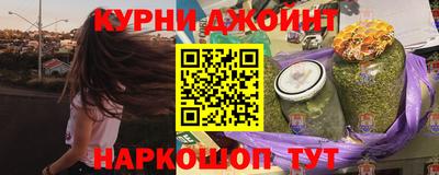 крисы Кингисепп