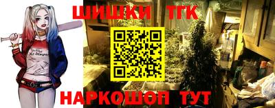 крисы Кингисепп