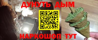 крисы Кингисепп