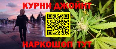 крисы Кингисепп