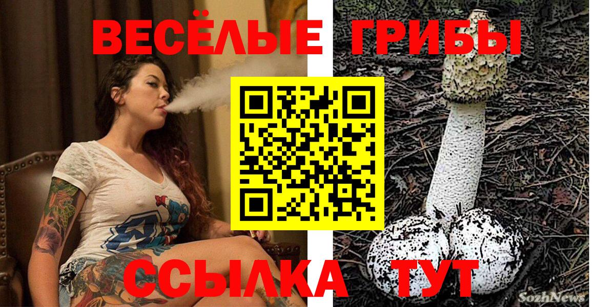 Псилоцибиновые грибы Magic Shrooms  Псилоцибиновые грибы GOLDEN TEACHER  Вход с VPN  Кострома 
